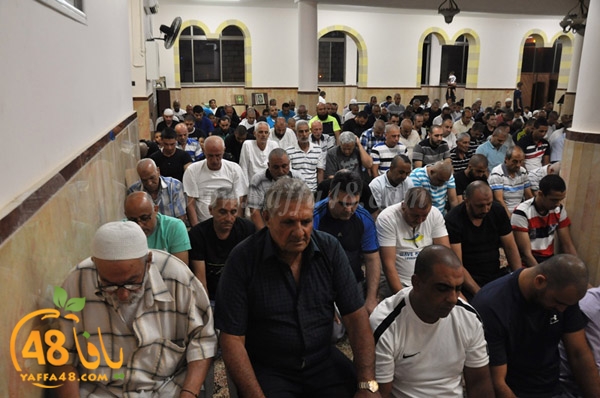 tarawee7 3ajamiwj (21).JPG